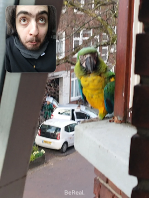 surprising news from Barry