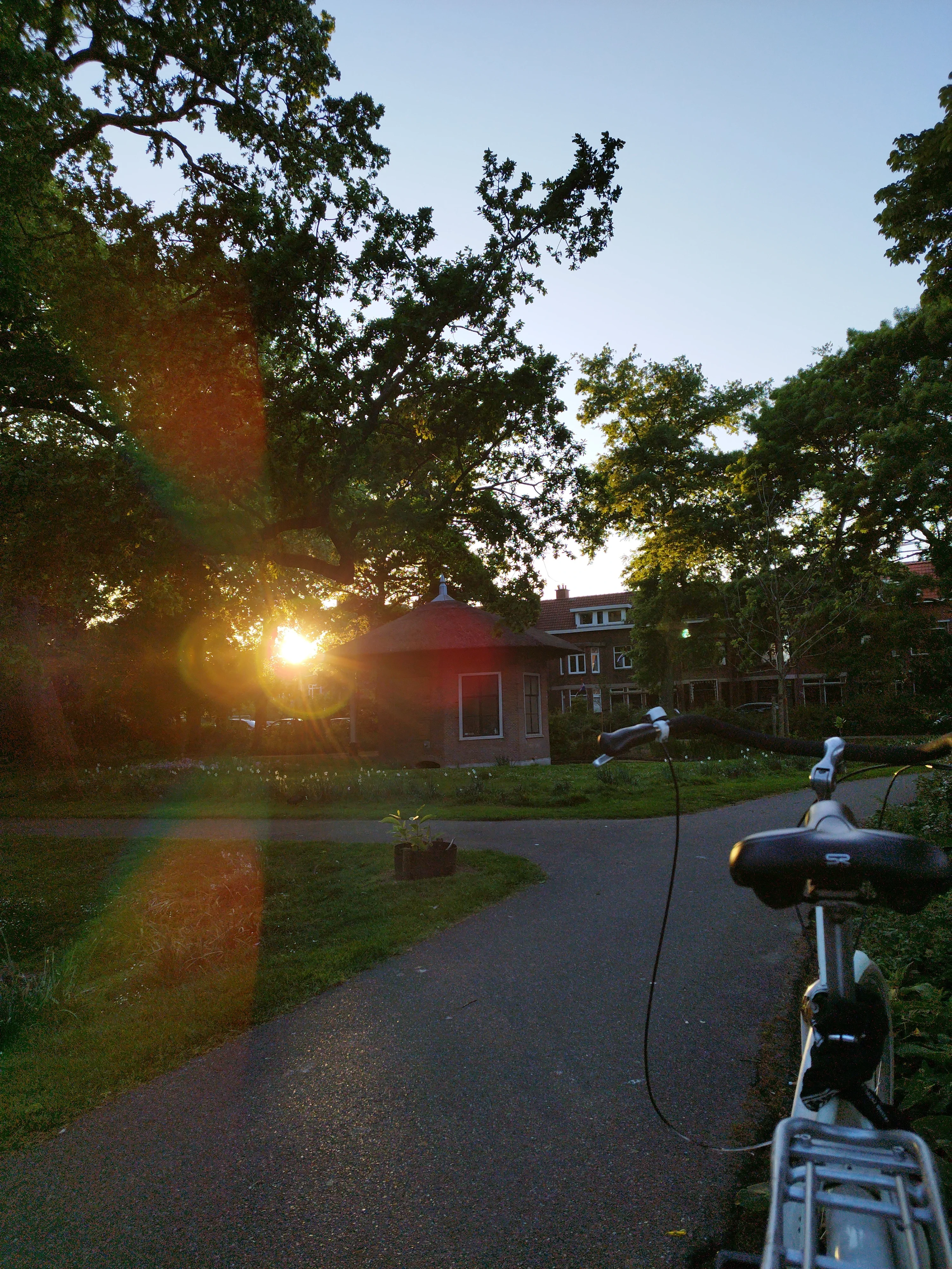 every day is a win against the french