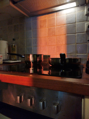 you should see the other guy